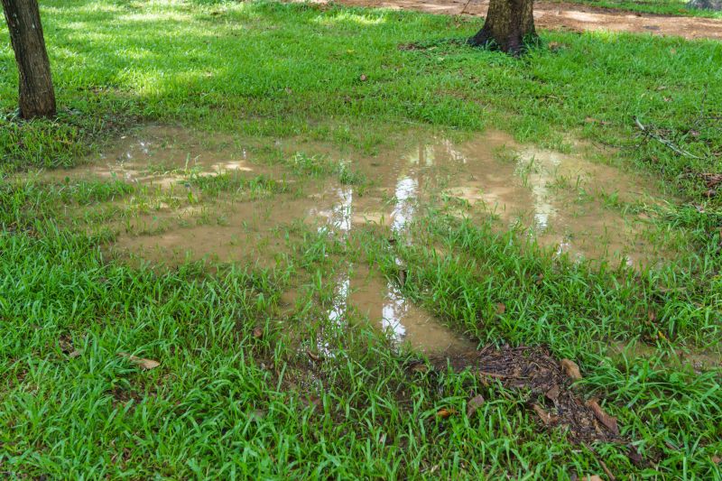 Yard Drain Installation in Tuscaloosa, AL